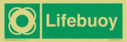 lifebuoy-with-symbol~